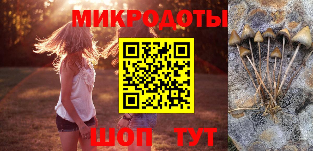 Галлюциногенные грибы мицелий Иваново