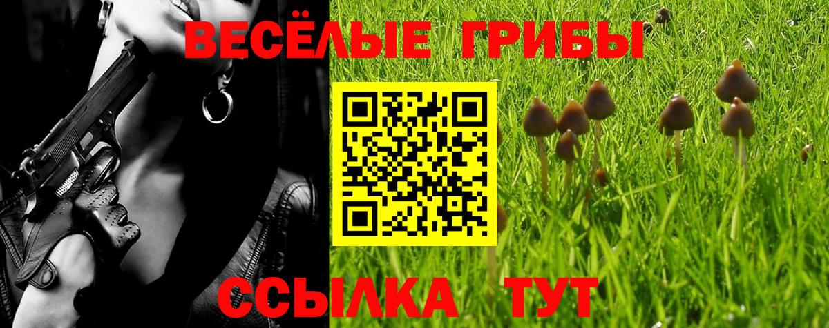 Иваново  купить   Вход с VPN  Галлюциногенные грибы GOLDEN TEACHER 
